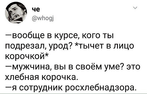 Картинки и мемы из Сети 24.07.22