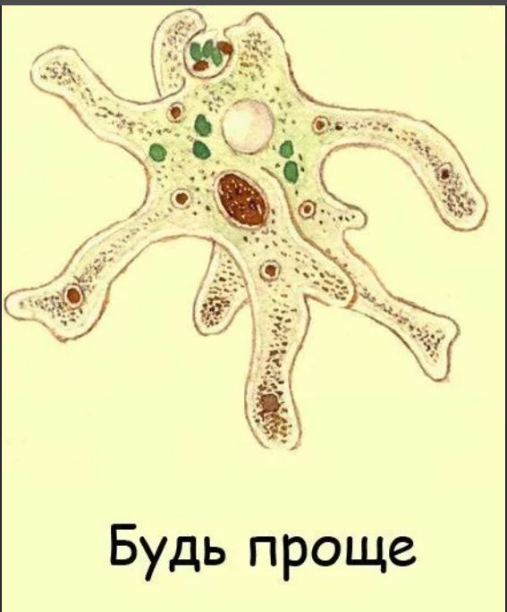 Пандемия съехавших крыш - разновидности болезни. Россия и мир. Часть 39.