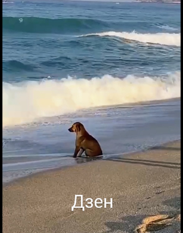 Картинки и мемы. Выходные близко...