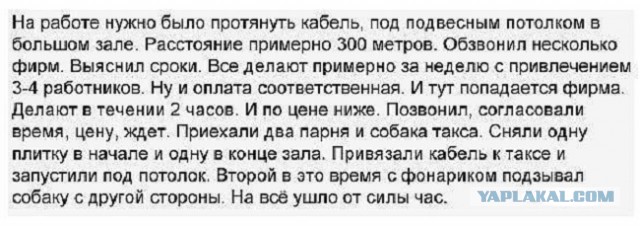 Народная меДИЧина 9007