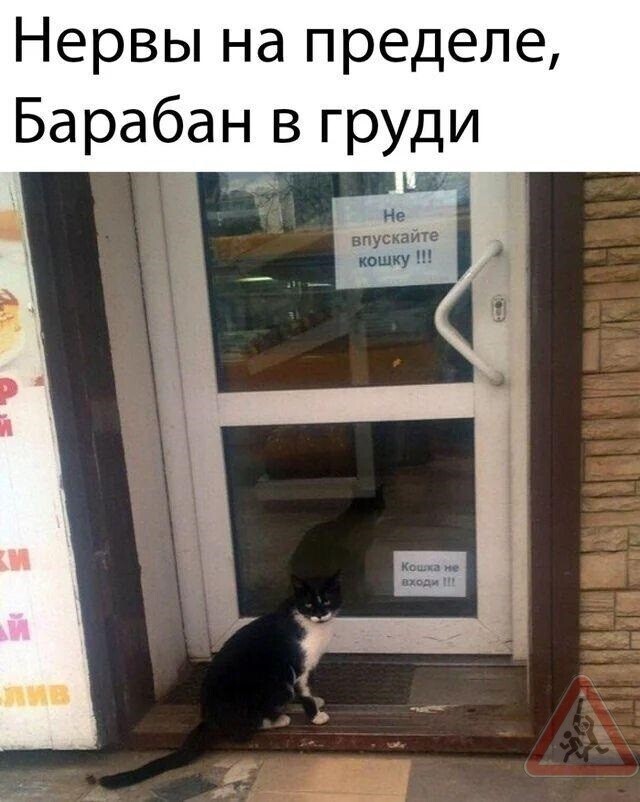 Юмор в картинках и без 21.11.2022