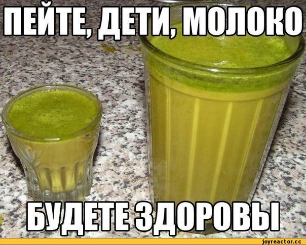 Воронежские учёные придумали, как производить молоко из конопли