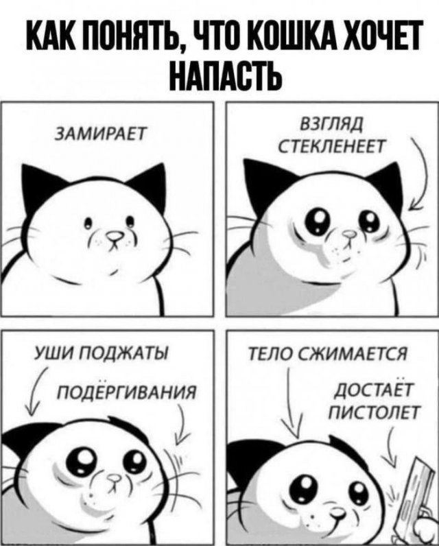 Немного картинок для настроения - 133
