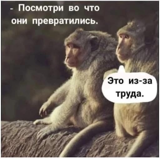Немного мотивации для мужиков