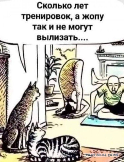 Женился на девственнице и пожалел!