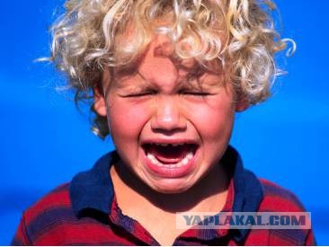 Школьная Уборщица