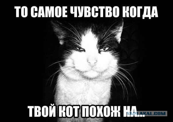 Саша Грей уже во Владивостоке!