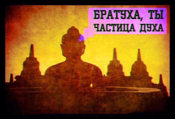Прикольные и просто красивые картинки 07.06.2024