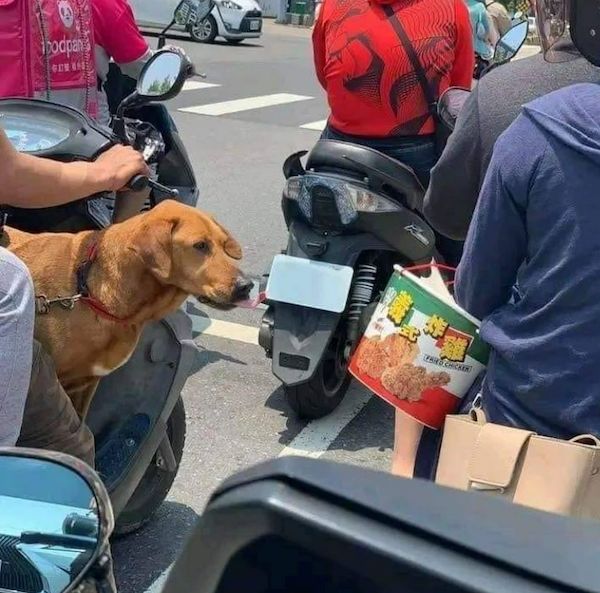 ФотоВинегрет