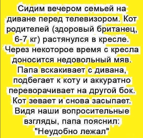 Весёлый полтишок 05.08.24