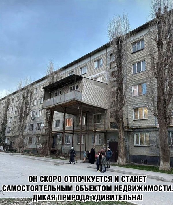 Ура! Дождались! Понедельник!