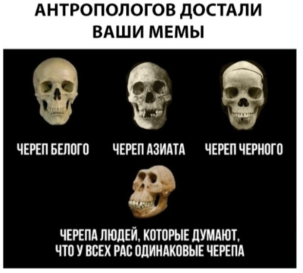 Баяны: апрель 2023 г - июль 2023 г