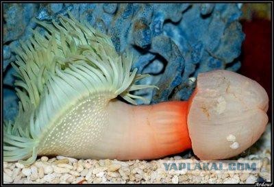 Почему же не стоит связываться с океаном?