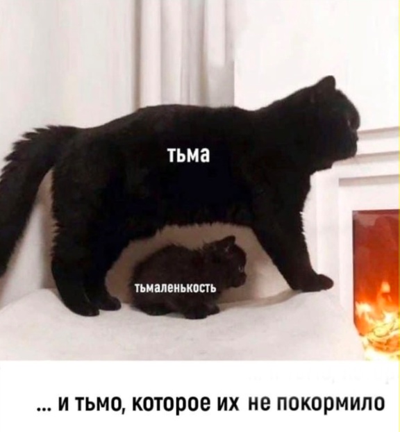 Веселые картинки в пятницу (11.04)