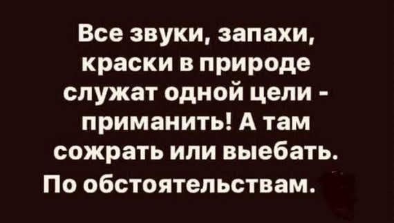 Не очень адекватный юмор
