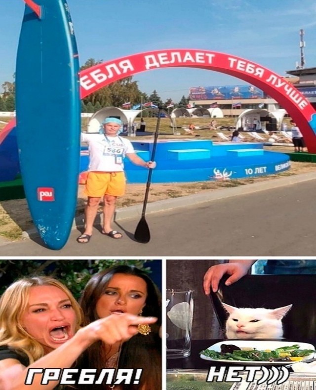 Знаменитый кот