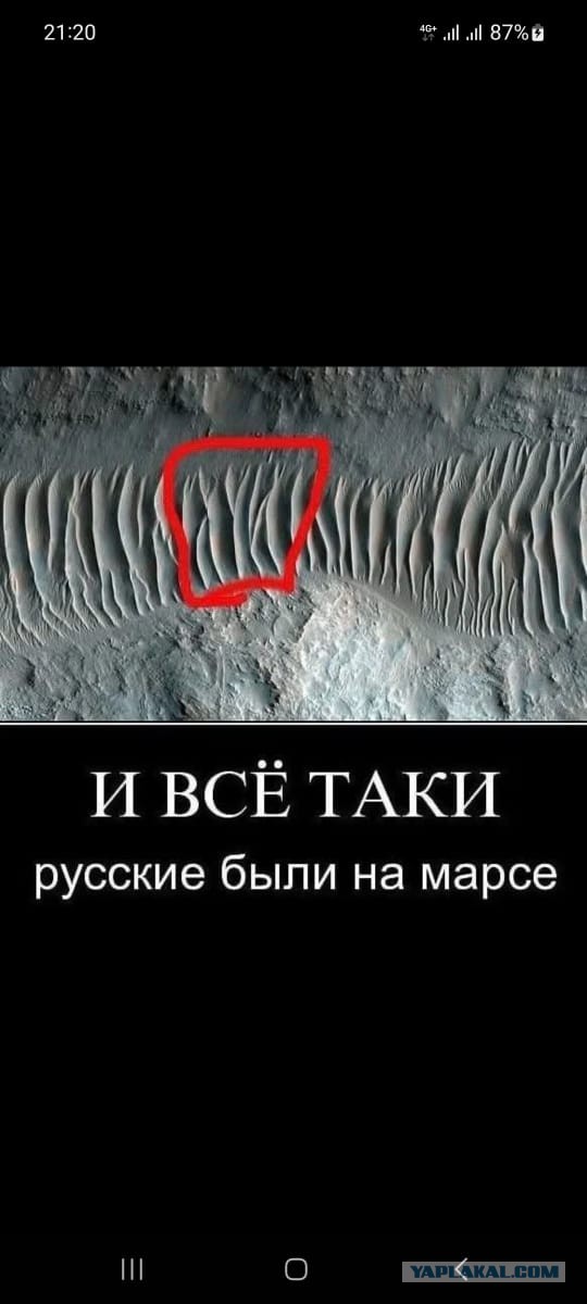 Так себе картинки 29.12.25