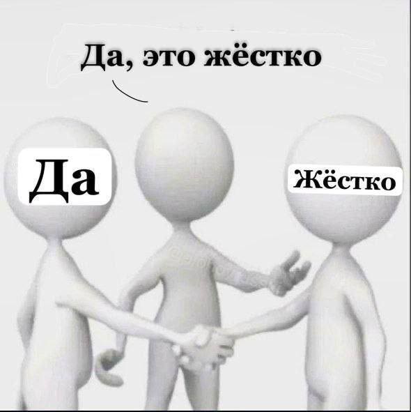 Котовторник или как