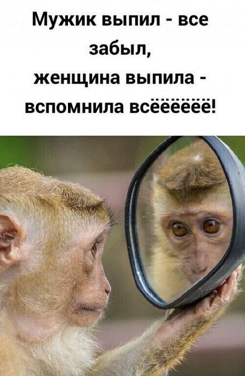 Субботние картинки