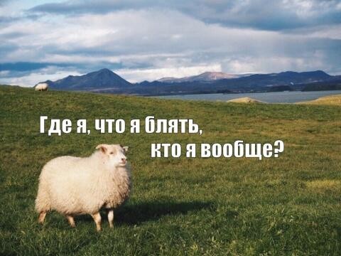 Сколько в нас «нас»? Наука доказывает, что ваше тело вам не принадлежит