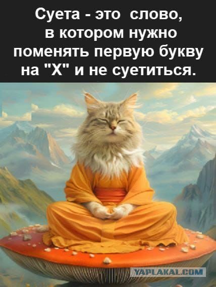 В интернете все смелые