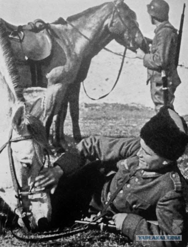 Великая Отечественная в фотографиях - 20