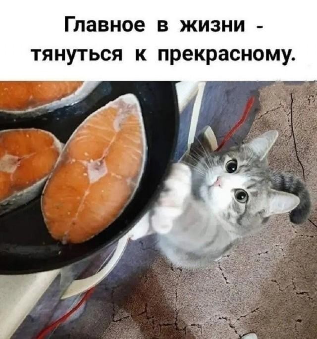Субботние картинки
