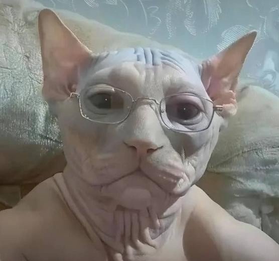 Показала настоящее богатство