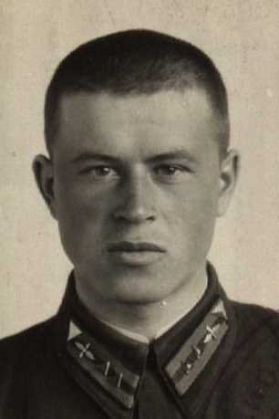 Поисковики ищут родных лейтенанта Анатолия Жаркова, чей Ил-2 нашли под Багратионовском спустя 81 год после крушения