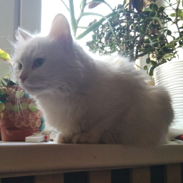 Вечер с лучшим другом