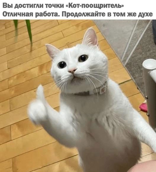 Подборка картинок к котовторнику