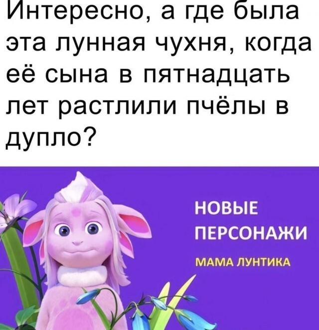 Картинки для деградации 262 (разной степени свежести)