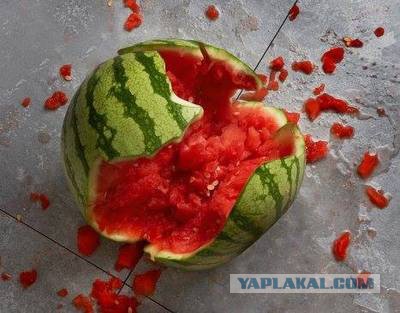 Масса в драке тоже имеет значение