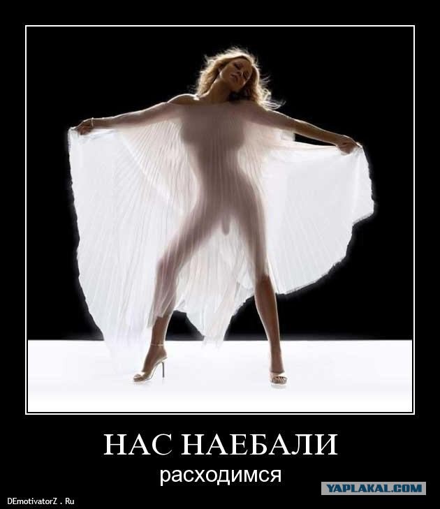 Милонов на Донбассе?!