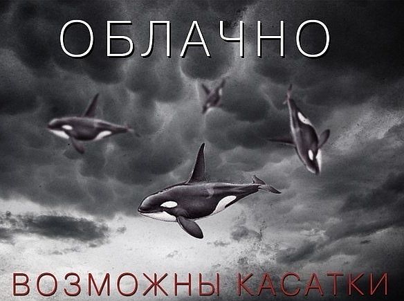Популярные мемы на ЯПе