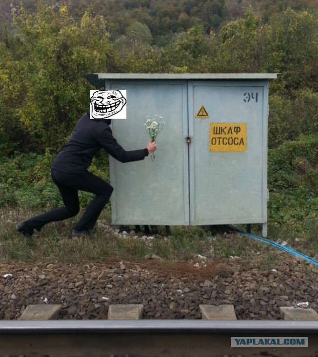 Смешные картинки