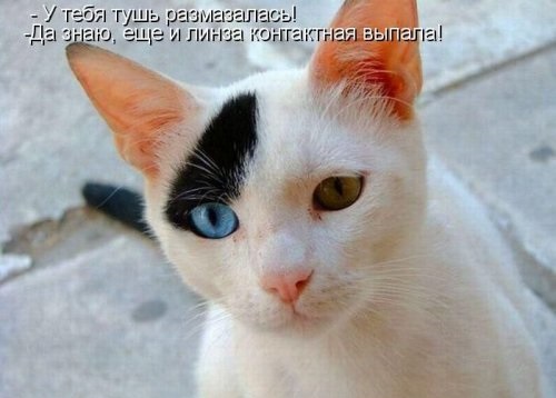 Доброе утро :)