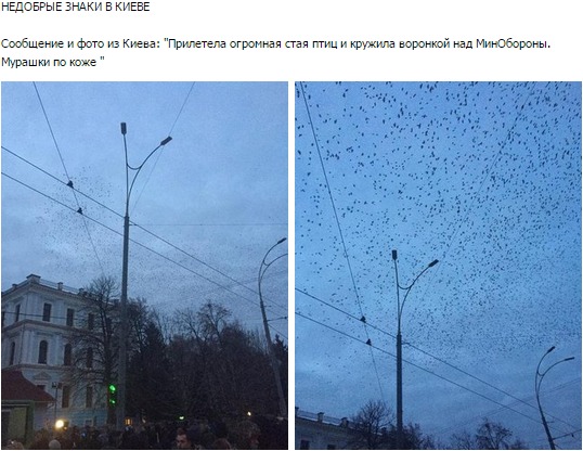 Перемирие кончилось, едва начавшись.