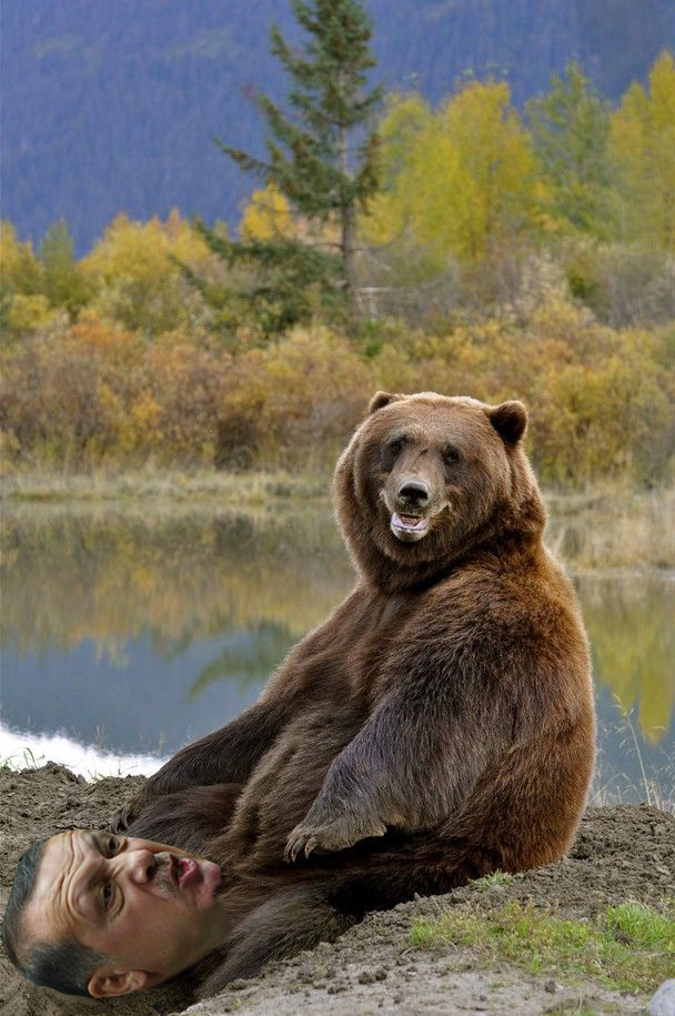 Отфотошопили веселого медведя..