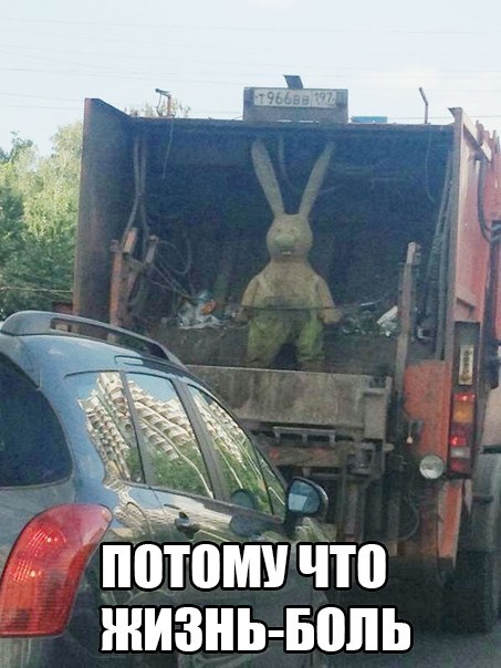 Картинки, надписи