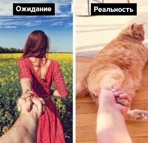 Картинки разные из сети