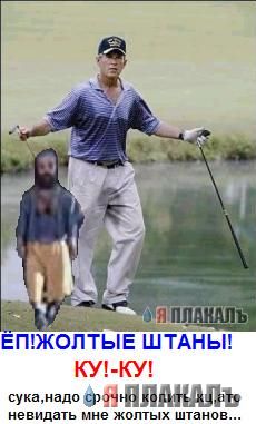 Все о БУШЕ