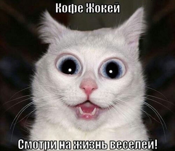 Отовсюду понемногу