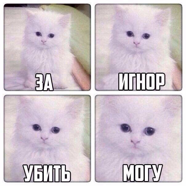 Весёлые картинки