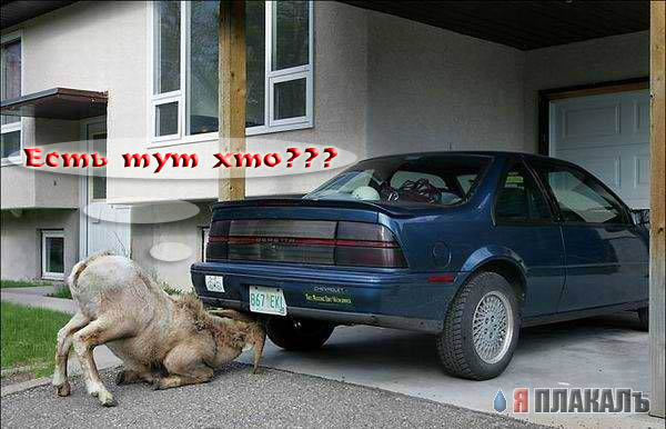 потерял...