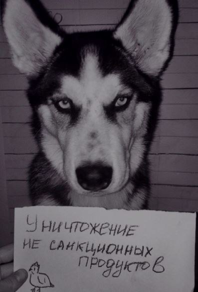 Мохнатые беспредельщики