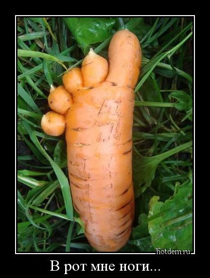 Демы без Темы