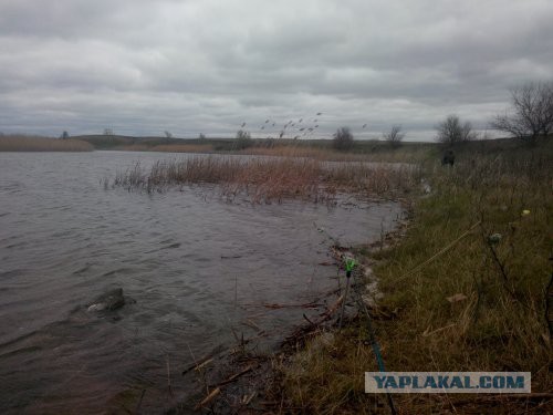 Яп-рыбаки, с открытием сезона!