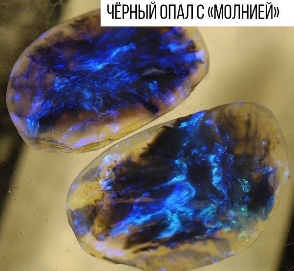 Интересные и веселые картинки