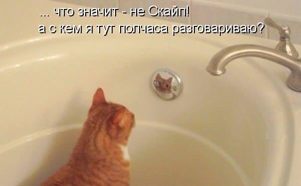 Мохнатые беспредельщики